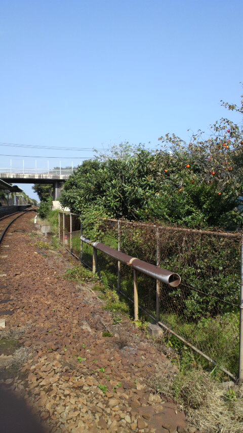 d0339676_11265572.jpg