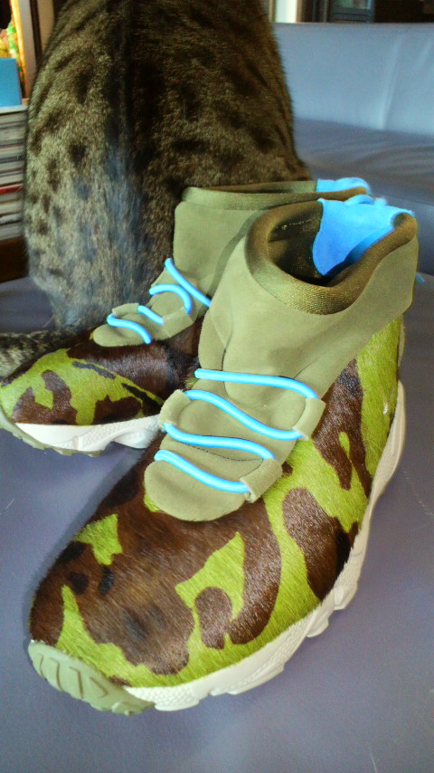 NIKEのスニーカーと天ちゃんの背 中_d0339676_11265810.jpg