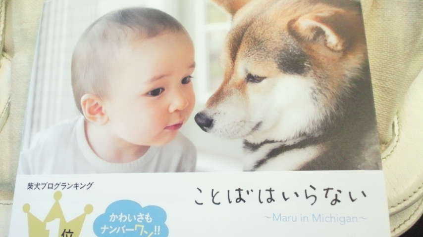 言葉 は いらない 言葉はいらない Jumpのハモりは天使の癒し 今にぴったりの曲 Docstest Mcna Net 言葉 は いらない 言葉はいらない Jumpのハモりは天使の癒し 今にぴったりの曲 Docstest Mcna Net