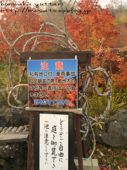 月曜シャケ弁 と 紅葉ドライブ and パン焼き_f0296683_10005657.jpg