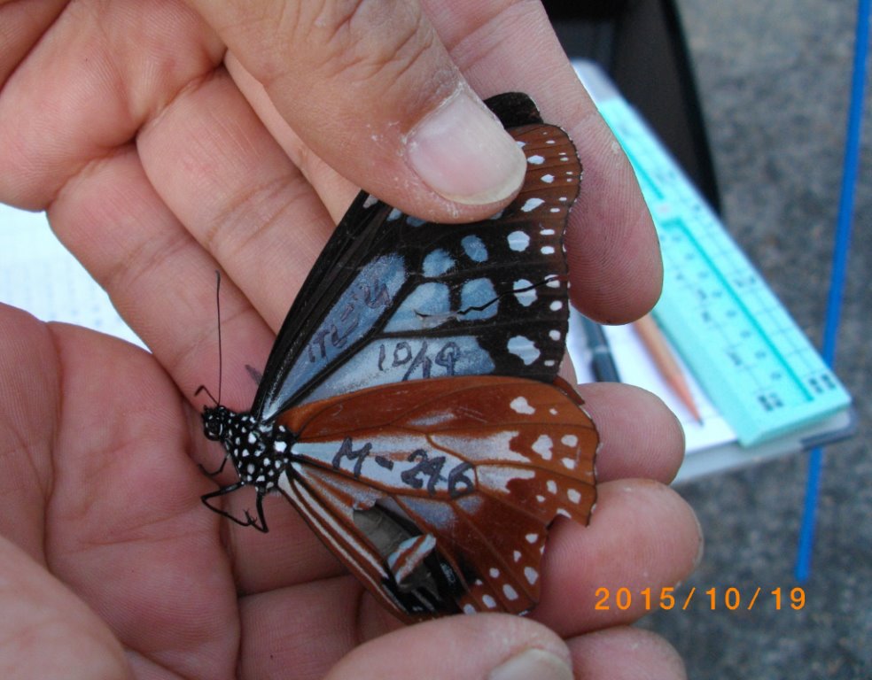 f0346184_19563455.jpg