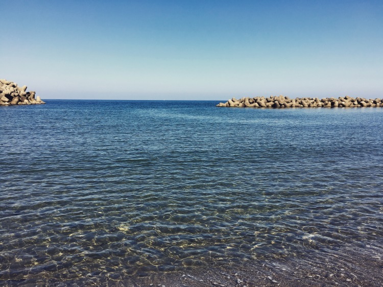 d0180285_15510172.jpeg
