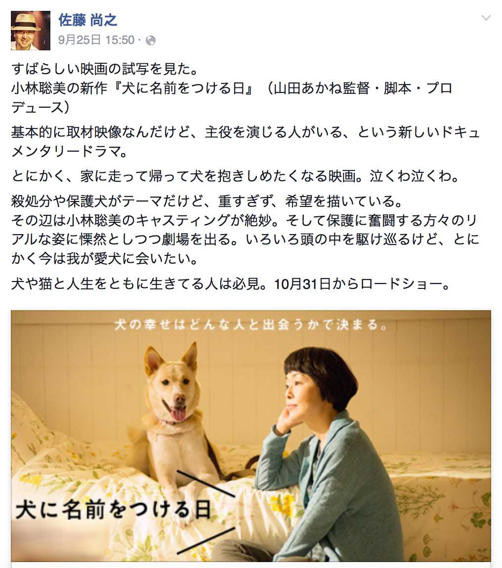 犬が好き でも心が弱い私のような人にも観て欲しい希望の涙が溢れる映画 犬に名前をつける日 松尾たいこブログ 私だけの色を探して