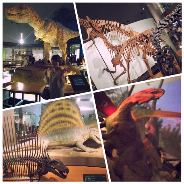 恐竜博物館_d0339885_12551735.jpg