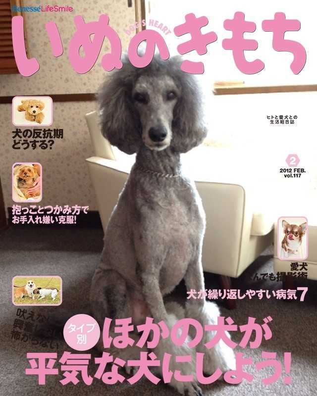我が家の犬もベネッセの雑誌の表紙デビュー♪／iPhoneアプリ いぬのきもちカメラ_d0339885_13463254.jpg