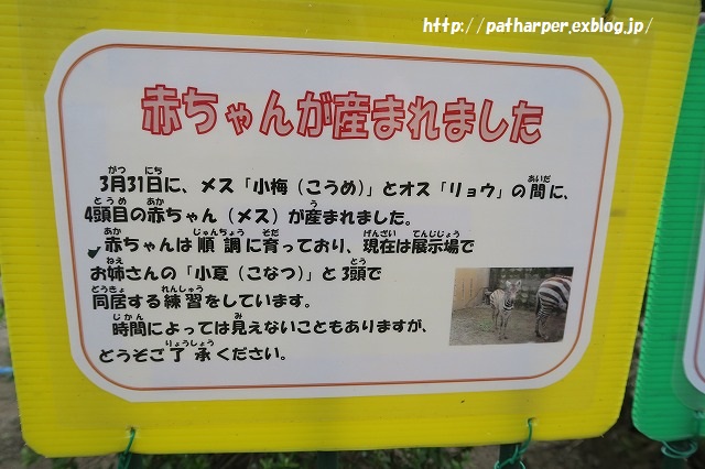 ２０１５年８月　周南市徳山動物園　その１_a0052986_7395424.jpg