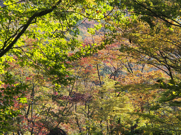 ２０１５　紅葉ツーリング【前編・二口林道】_d0244687_9231126.jpg