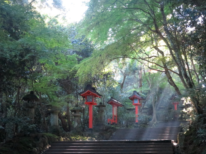 b0339488_17405720.jpg