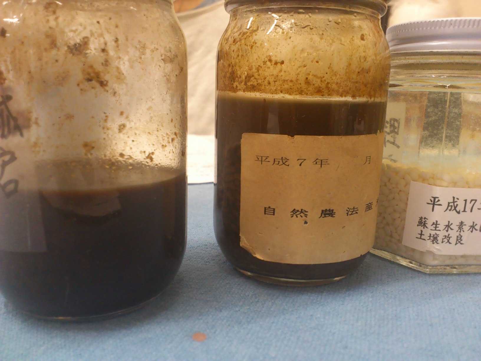 自然農法と有機の違い_d0339888_11561425.jpg