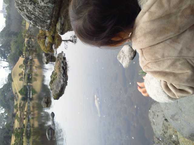 水前寺公園_d0339888_11570890.jpg