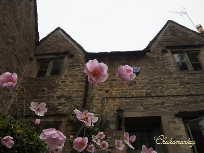 Cotswolds☆ウィリアム・モリスが「イギリスで一番美しい村」と讃えた村Bibury_f0238789_18212528.jpg