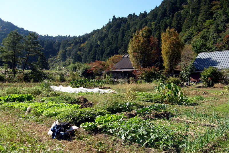c0057390_038648.jpg