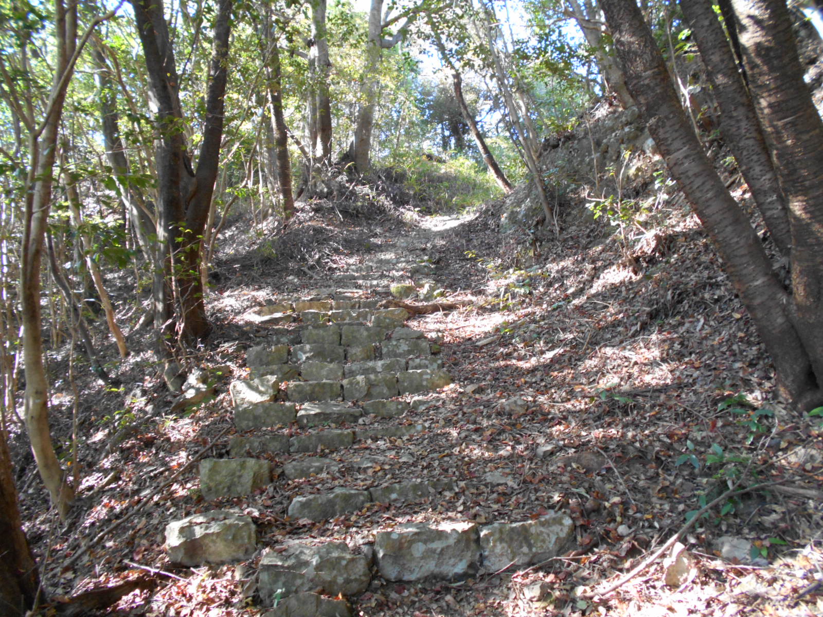 f0308898_16101528.jpg
