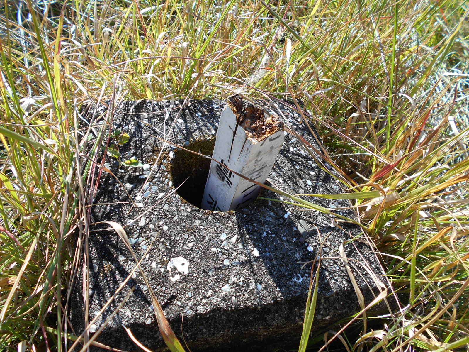 f0308898_161126100.jpg
