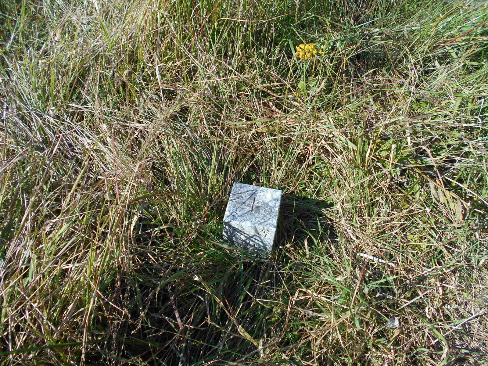 f0308898_161133100.jpg