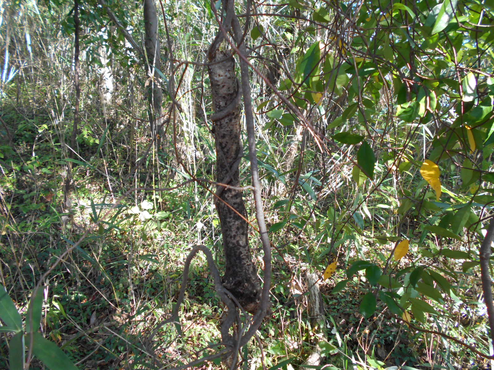 f0308898_16122380.jpg