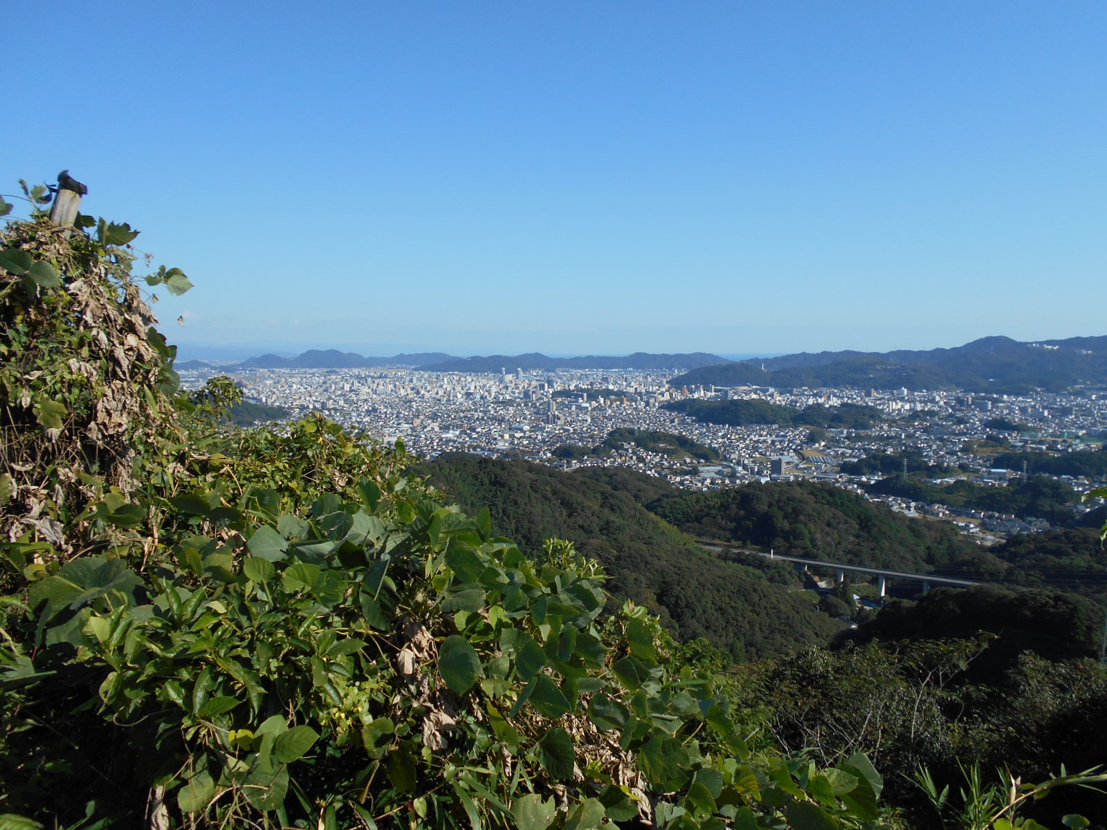 f0308898_16124513.jpg