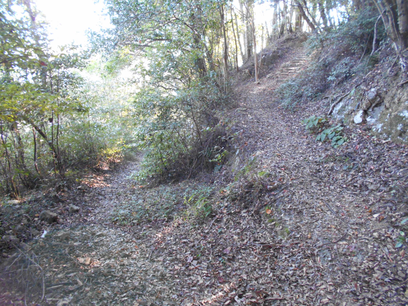 f0308898_1612839.jpg