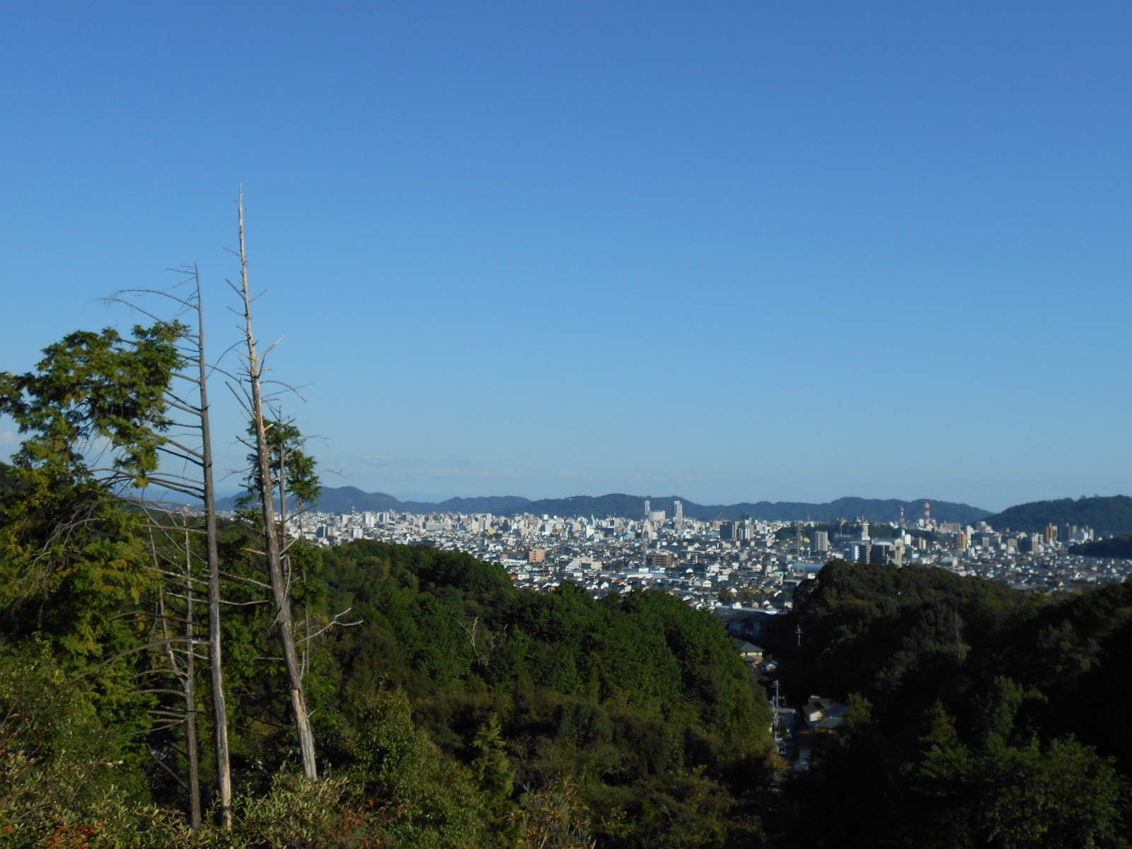 f0308898_16134886.jpg