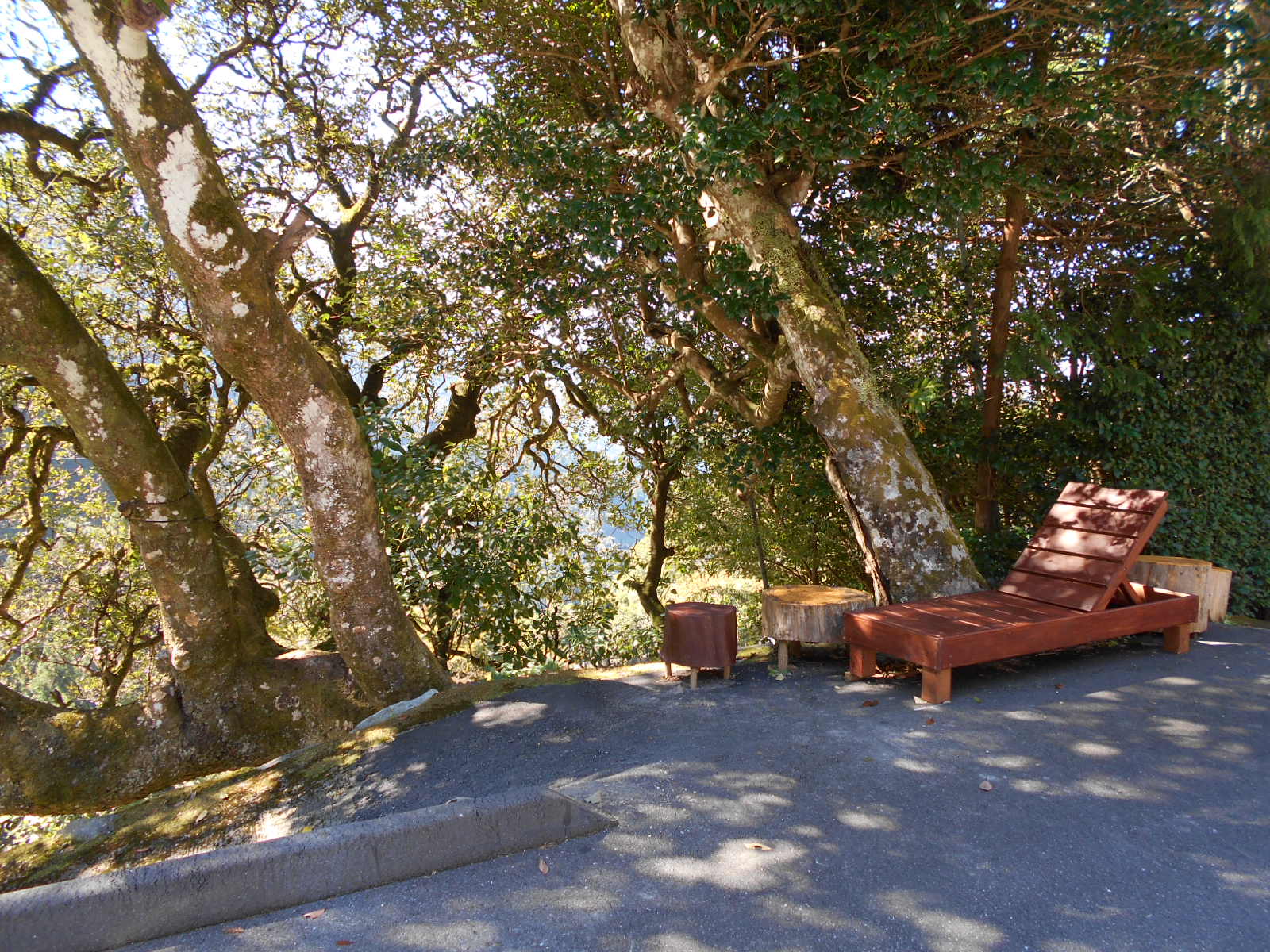 f0308898_16295243.jpg
