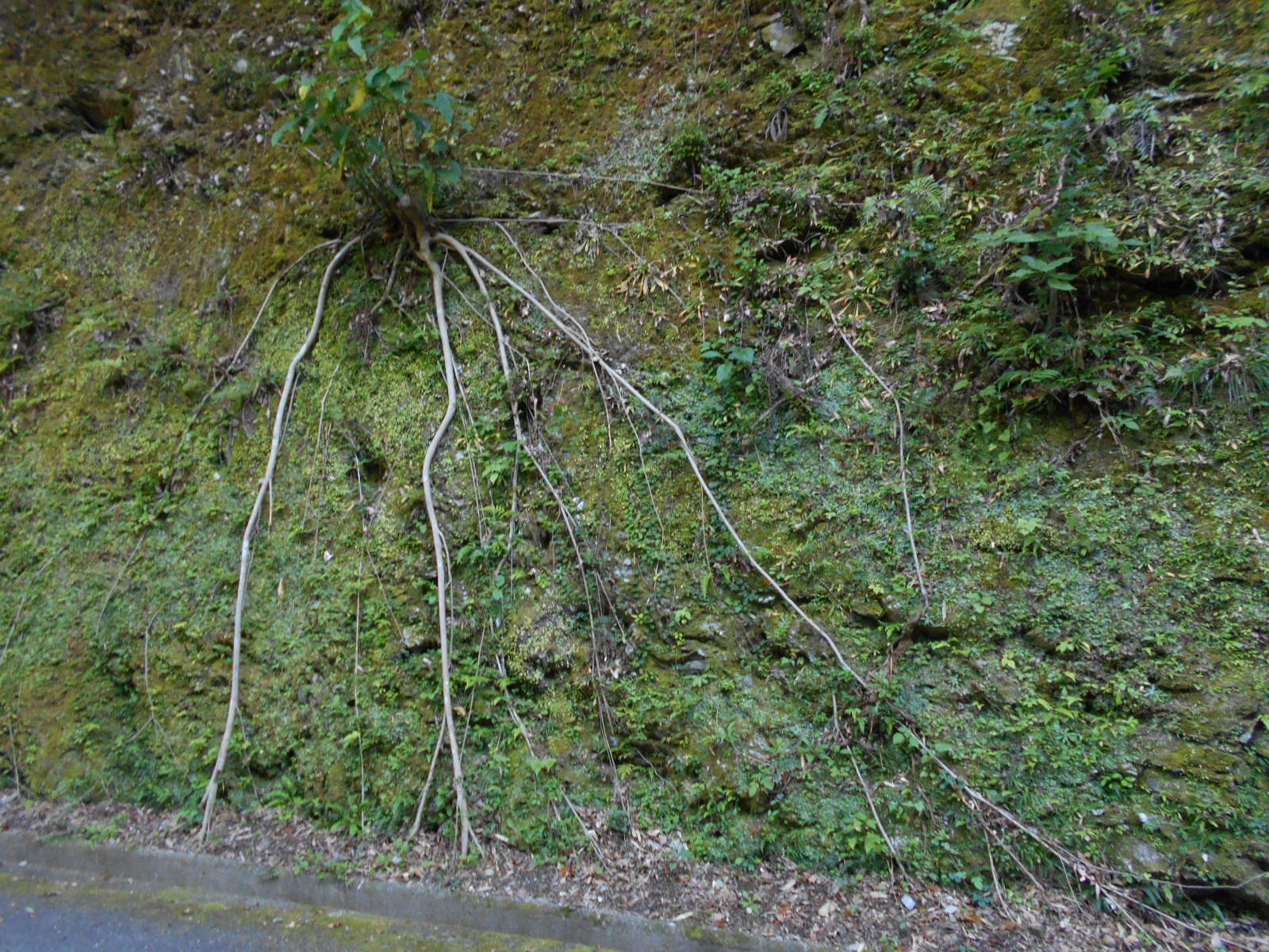 f0308898_163037.jpg