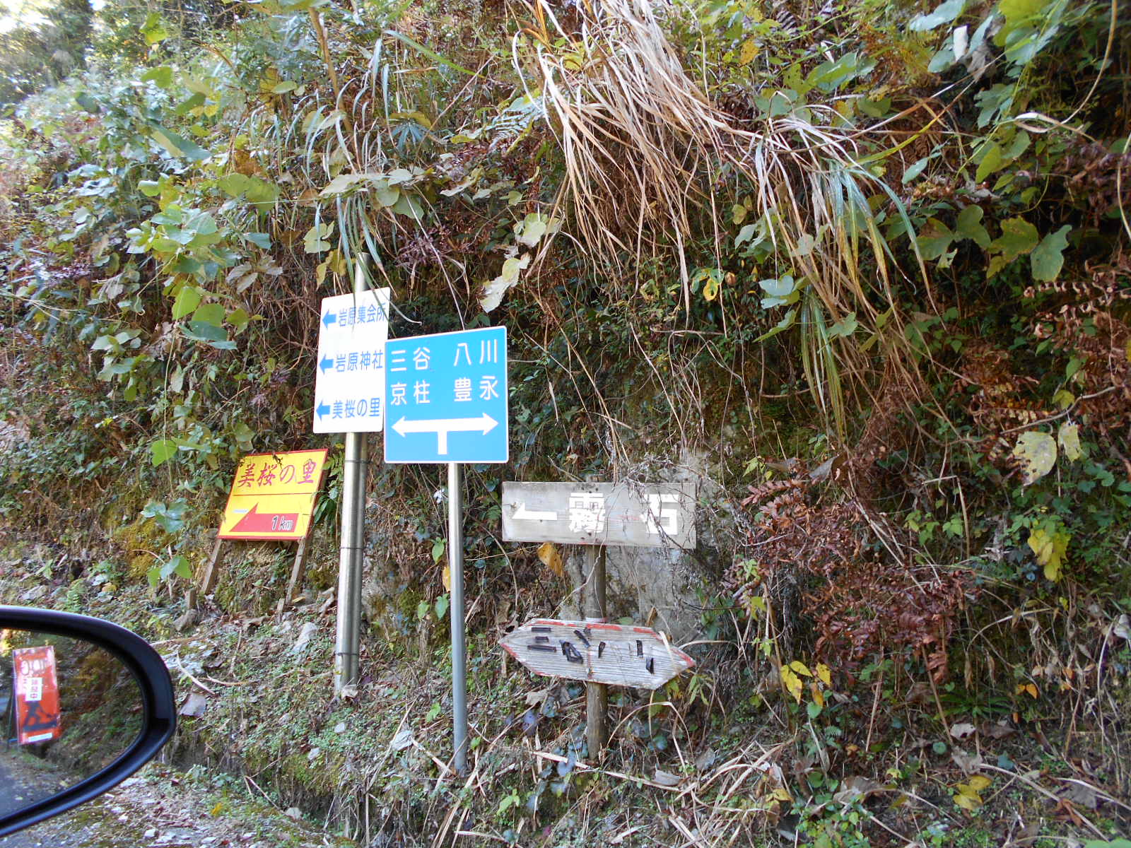 f0308898_1642682.jpg