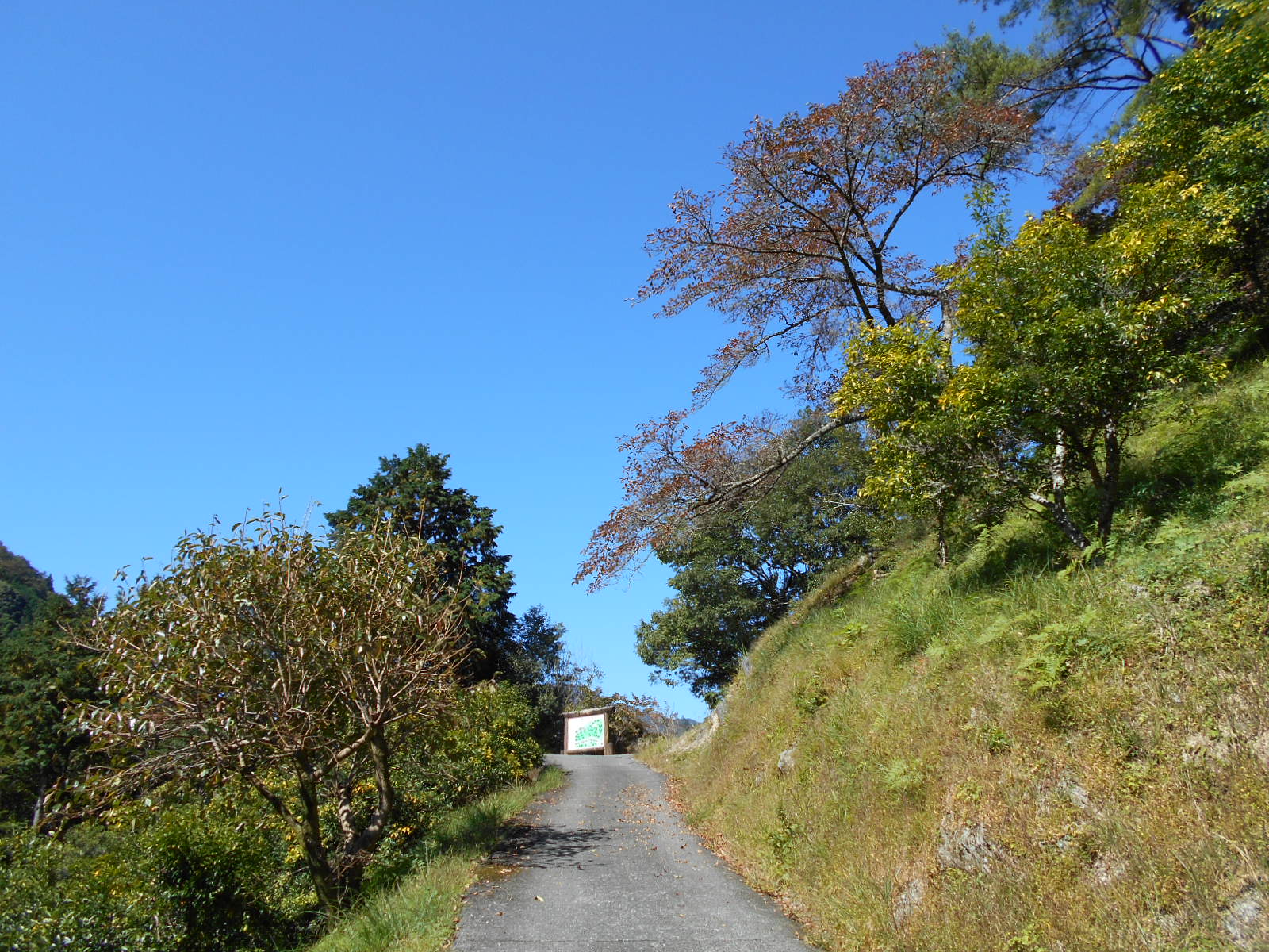 f0308898_16482765.jpg