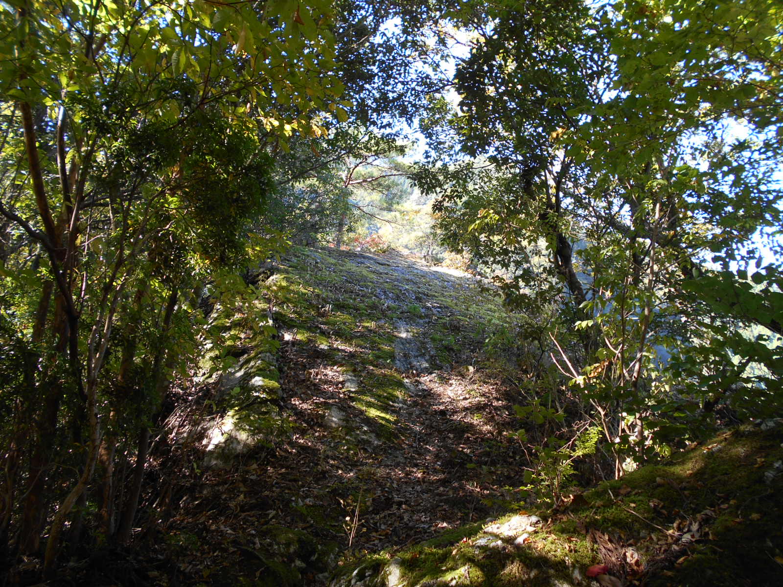 f0308898_165138100.jpg