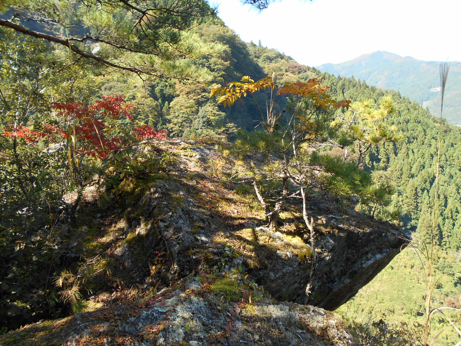 霧石渓谷 大豊町 茶凡遊山記 霧石渓谷 大豊町 茶凡遊山記