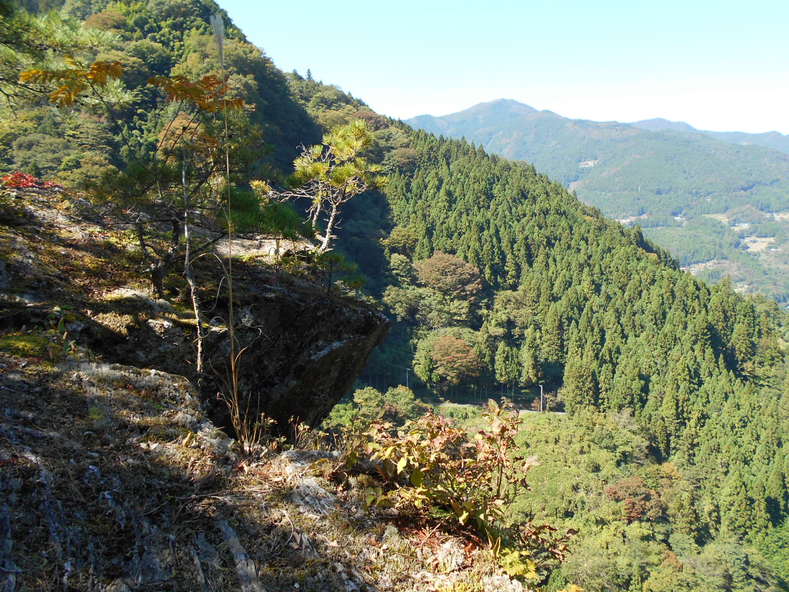 霧石渓谷(大豊町)_f0308898_1652225.jpg