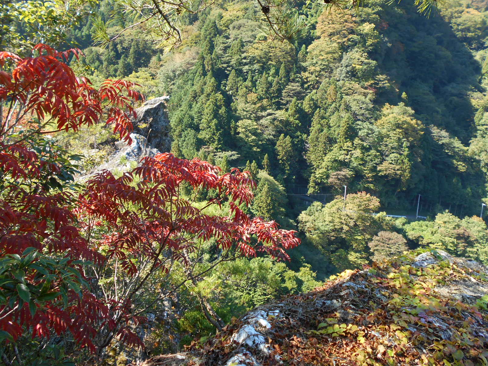 霧石渓谷(大豊町)_f0308898_1652746.jpg