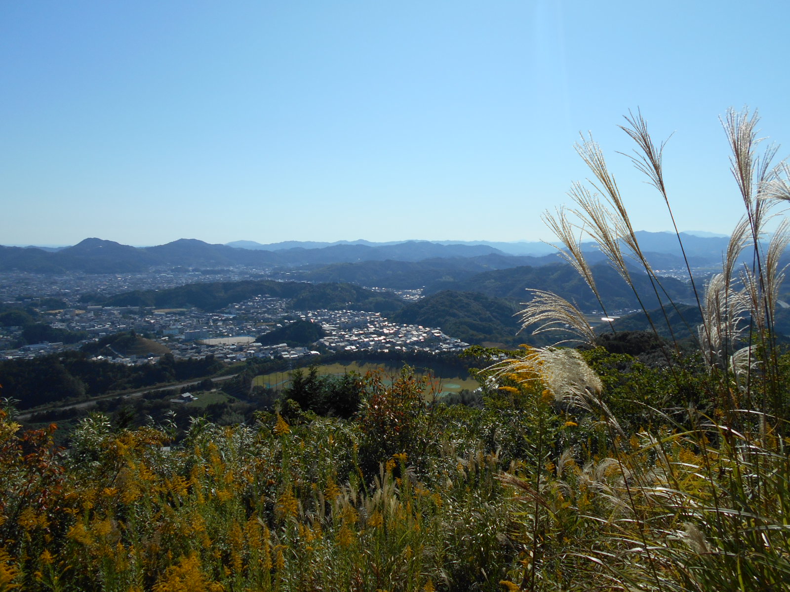 f0308898_1674849.jpg