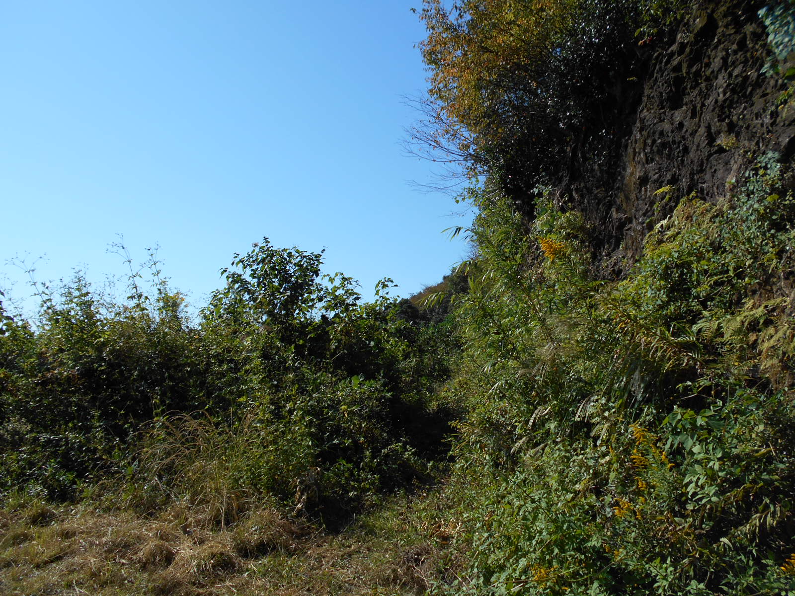 f0308898_1675640.jpg