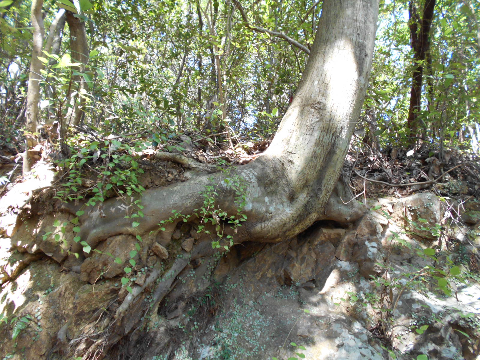 f0308898_1683452.jpg