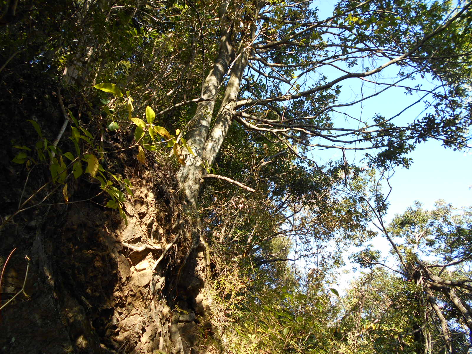 f0308898_1684076.jpg