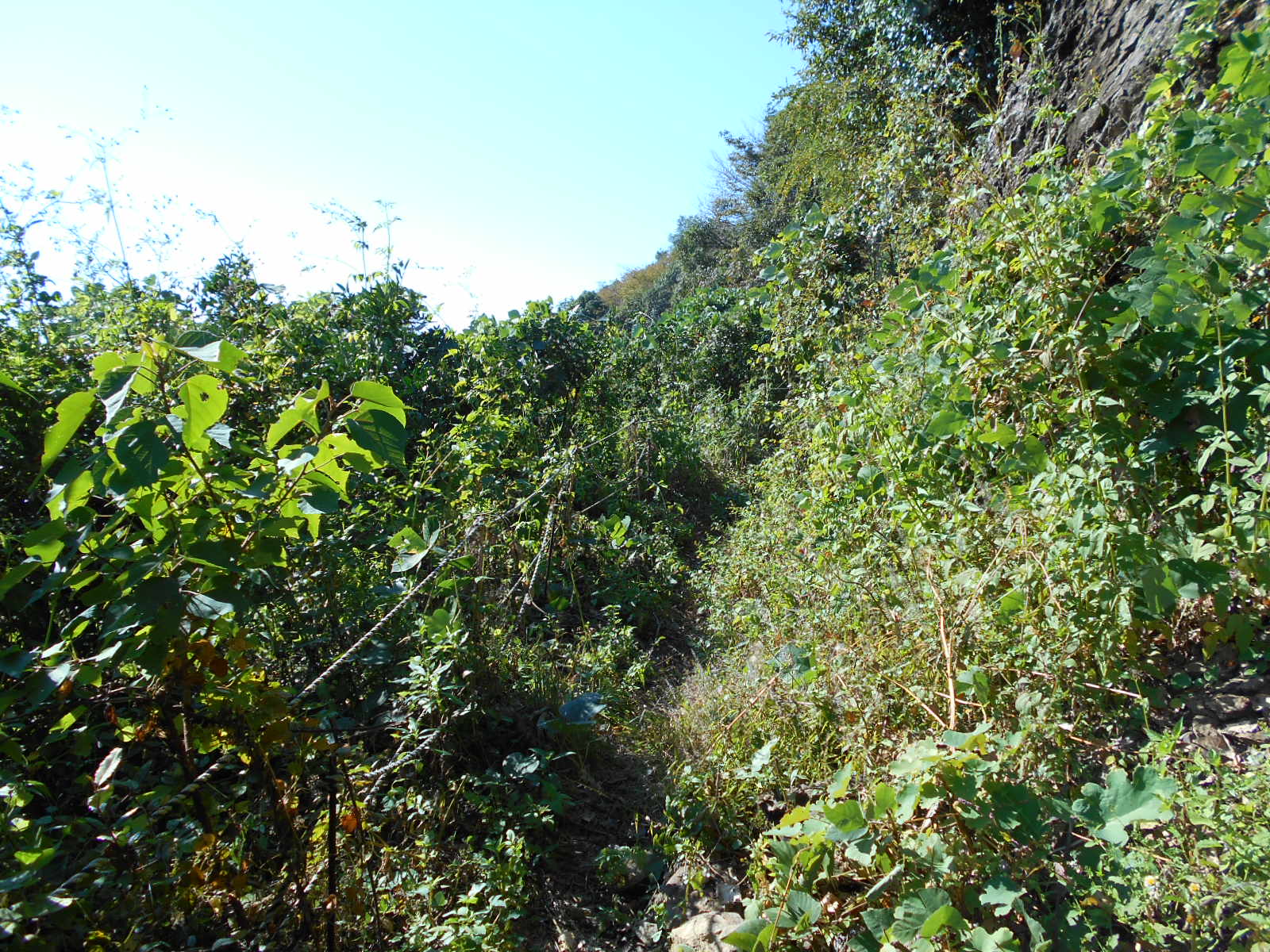 f0308898_168457.jpg