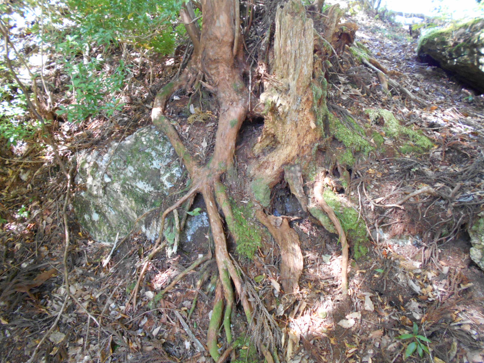 f0308898_1725754.jpg