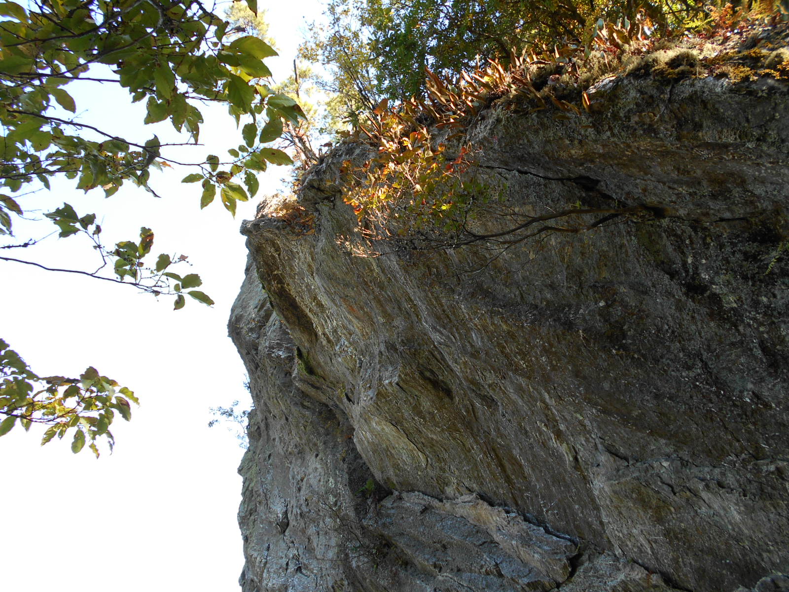 f0308898_173324.jpg