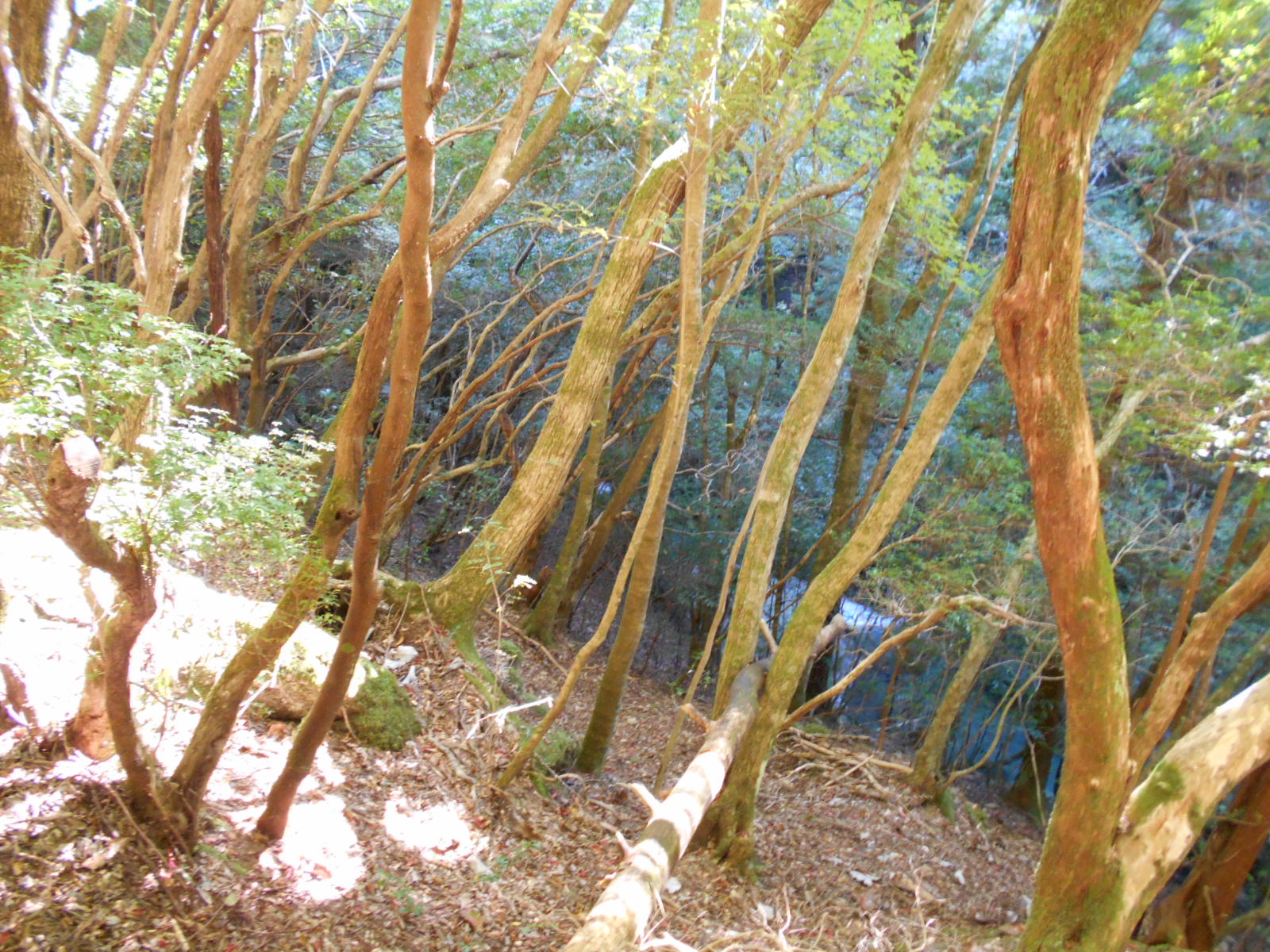 f0308898_1734044.jpg