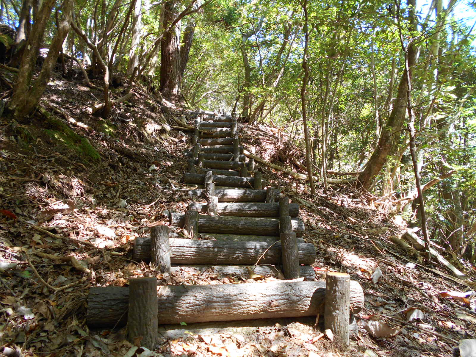 f0308898_1735088.jpg