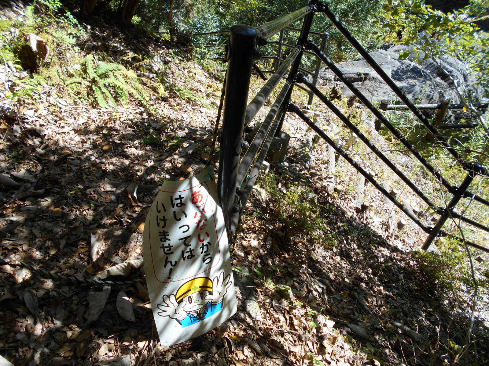 f0308898_1735889.jpg