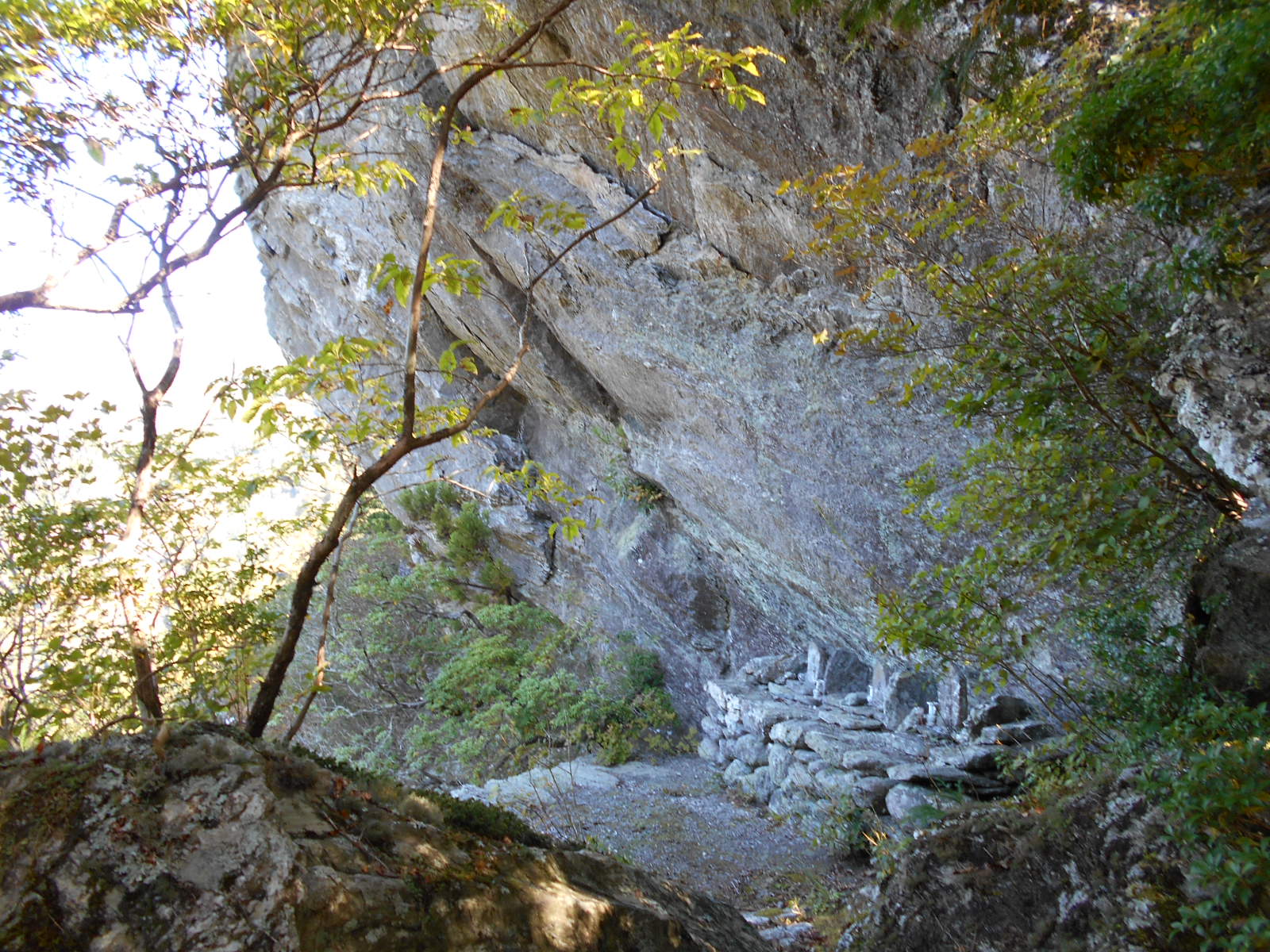 f0308898_173640.jpg