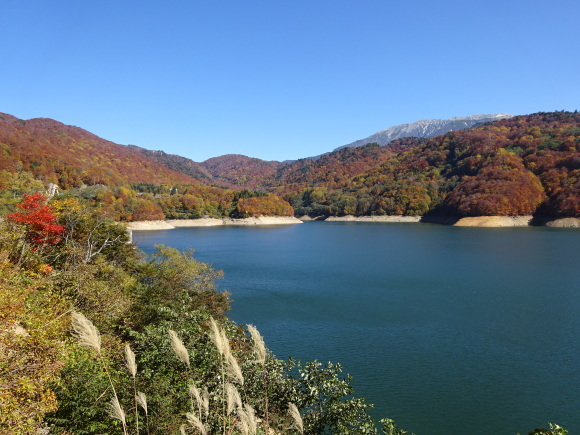 c0369304_23171007.jpg