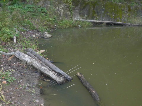 f0192504_1785598.jpg