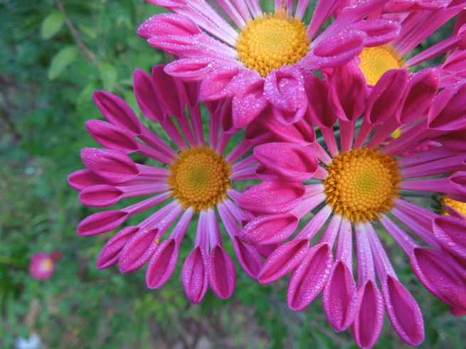 f0297809_2351123.jpg