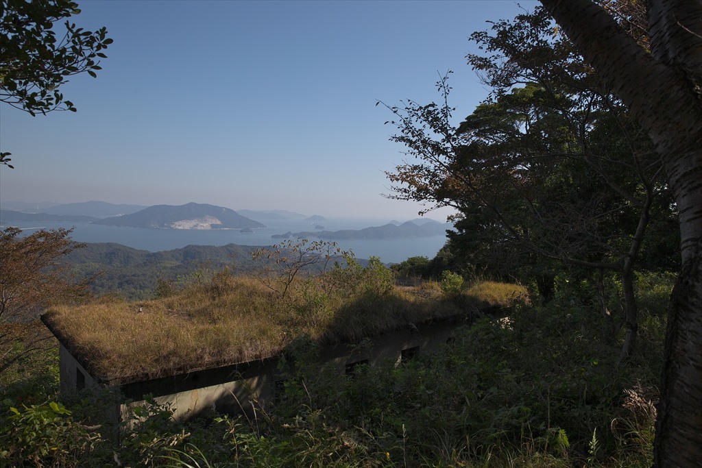 戸田駅－富海駅間：四郎谷(JR貨物など)　(2015.10.16)_c0346710_17264485.jpg