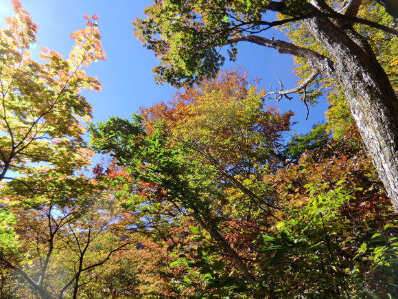 三方岩岳　(1,736M)   蓮如茶屋 編_d0170615_8564457.jpg