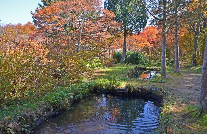 数又養魚場さんの岩魚の館、復活開店_e0349817_21303767.jpg