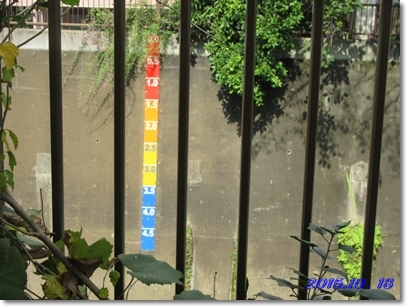 b0167519_16144958.jpg