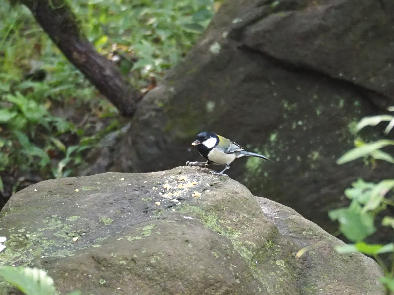 f0330321_216292.jpg